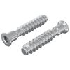 vidaXL Śruba z gł&oacute;wką kapeluszową 2 szt. Srebrny M7 x 40 mm Stal