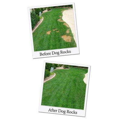 Dog Rocks Kamienie dla psów, niwelujące powstawanie plam na trawnikach