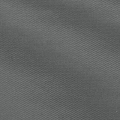 vidaXL Zwijana markiza boczna, antracytowa, 220x1000 cm