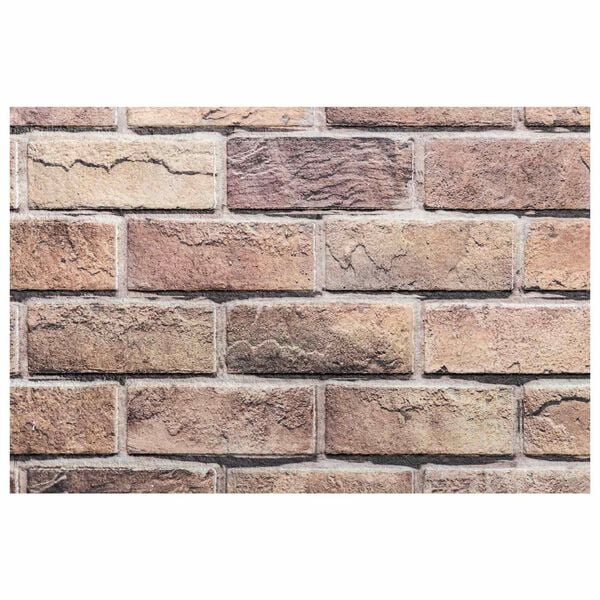 vidaXL Panele ścienne 10 pcs Brązowy i szary 100 x 50 cm Pianka EPS