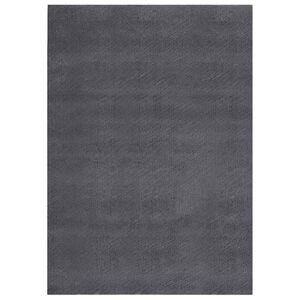 vidaXL Dywan z kr&oacute;tkim włosiem i możliwością prania 160x230cm antracyt