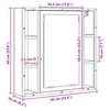 vidaXL Szafka łazienkowa z lustrem, stare drewno, 60x16x60 cm