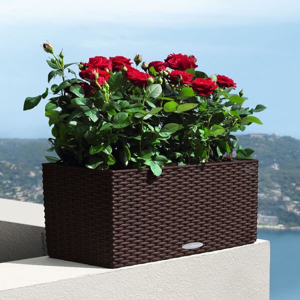 LECHUZA Doniczka BALCONERA Cottage 50 ALL-IN-ONE, mokka