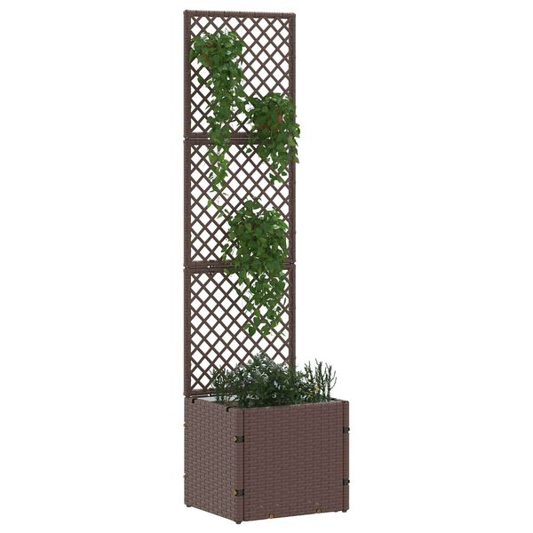 Wyświetlanie zdjęcia produktu 2 z 11