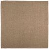 vidaXL Dywan wewnętrzny i zewnętrzny AGIRA naturalny 120 x 120 cm