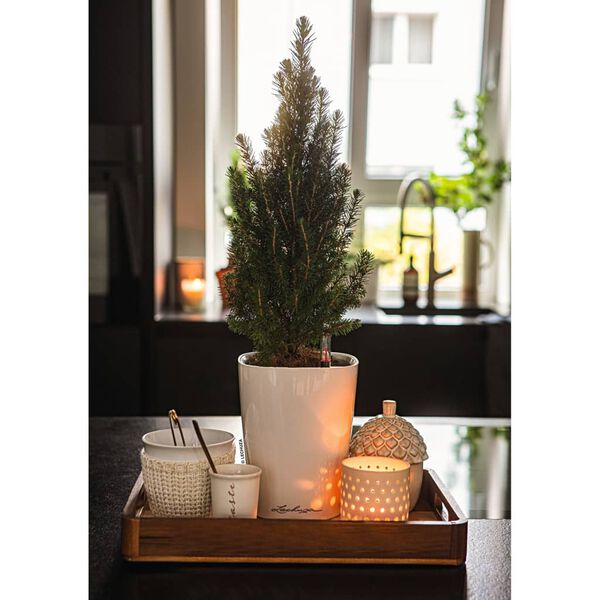 LECHUZA Donica DELTINI ALL-IN-ONE, biała, wysoki połysk