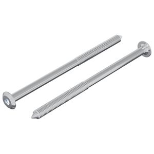 vidaXL Śruba 2 pcs Srebrny M6 x 100 mm Stal