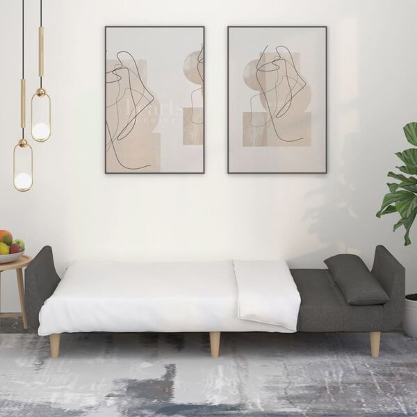 vidaXL 2-osobowa kanapa, 2 poduszki, ciemnoszara, tapicerowana tkaniną