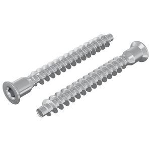 vidaXL Śruby confirmat 2 pcs Srebrny &Oslash;7 x 58 mm Metal