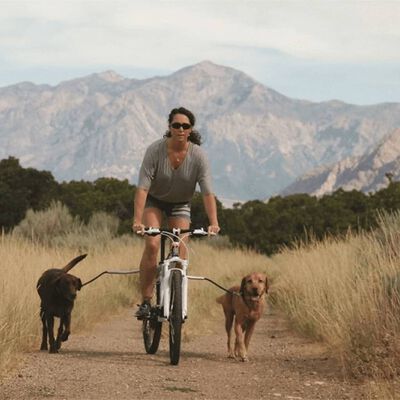 PetEgo Uniwersalna smycz rowerowa dla psa Cycleash, 85 cm