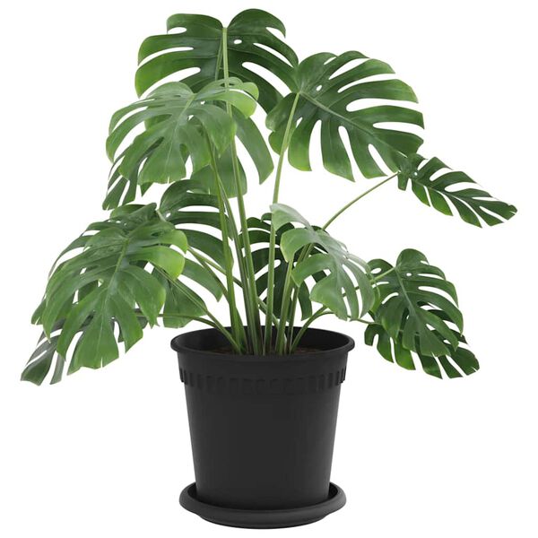 vidaXL Doniczki 24 pcs Czarny &Oslash; 17 x 14 cm Z tworzywa sztucznego