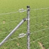 Miniatura produktu 5 z 17