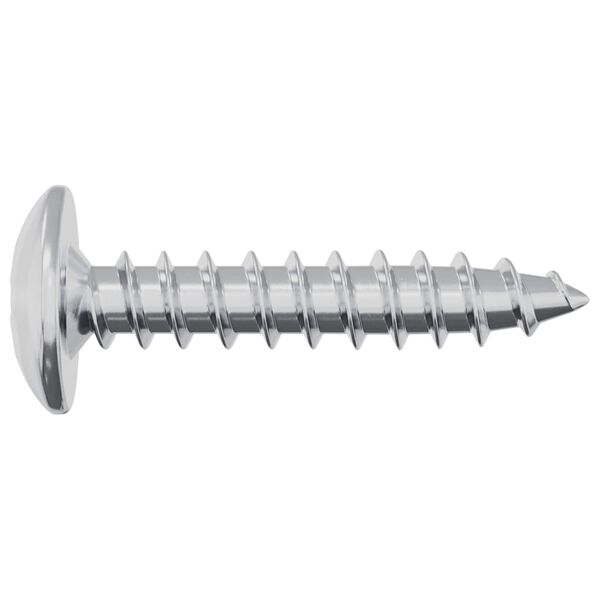 vidaXL Wsuwany gw&oacute;źdź 2 pcs Powlekana cynkiem 4 x 20 mm Stal