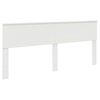 High_gloss_white