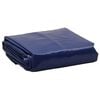 vidaXL Plandeka, niebieska, 5x6 m, 650 g/m&sup2;