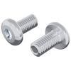 vidaXL Śruba Zablokowująca Gładki 2 szt. Srebrny M6 x 12 mm Stal