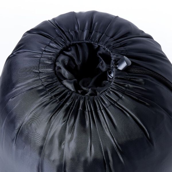 vidaXL Śpiwór typu mumia, dla dorosłych, na 3 pory roku