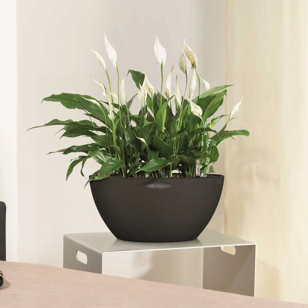 LECHUZA Donica CUBETO Stone 40 ALL-IN-ONE, grafitowa czerń, 13842