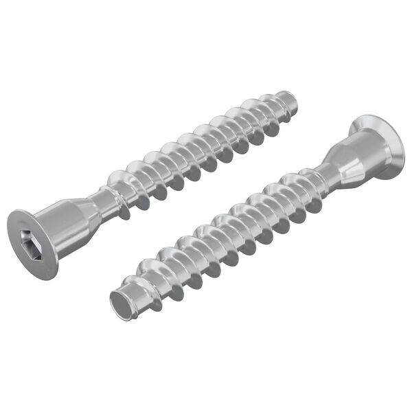 vidaXL Śruby confirmat 2 pcs Srebrny &Oslash;7 x 50 mm Metal