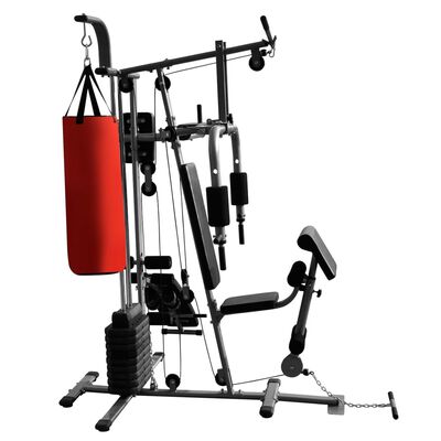 vidaXL Wielozadaniowa domowa siłownia z workiem treningowym, 65 kg
