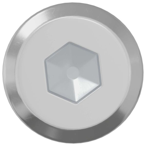 vidaXL Śruba Zablokowująca Gładki 2 pcs Srebrny M6 x 30 mm Stal