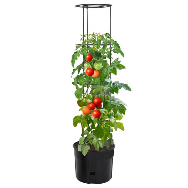 Wyświetlanie zdjęcia produktu 2 z 6