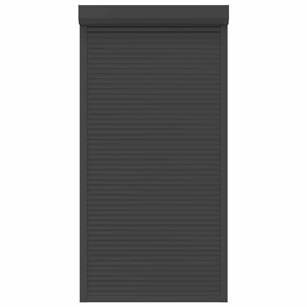 vidaXL Roleta zewnętrzna, aluminiowa, 110 x 220 cm, antracytowa