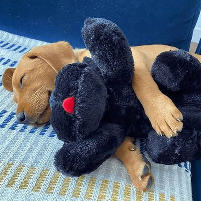 Snuggle Puppy Pluszowy pies dla psa, z biciem serca, czarny