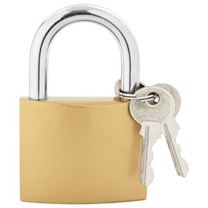 vidaXL Zamek U z kluczami Mosiądz 6 x 2 x 9,1 cm Żelazo