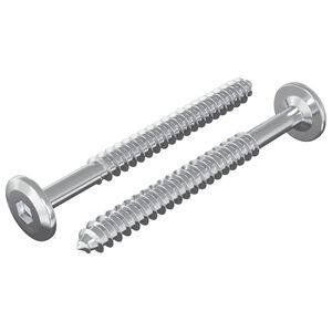 vidaXL Wkręty Drewniane 2 szt. srebrny M6 x 70 mm Stal