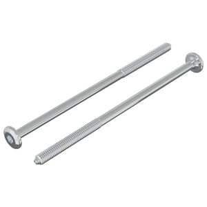 vidaXL Śruba 2 pcs Srebrny M6 x 120 mm Stal