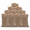 vidaXL Worki jutowe, 10 szt., 65x135 cm, 100% juta, 220 g/m&sup2;