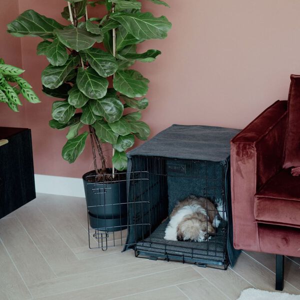 DISTRICT70 Pokrowiec na klatkę dla psa, ciemnoszary, L