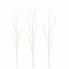 White_warm_white