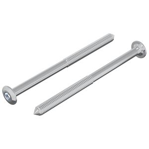 vidaXL Śruba 2 pcs Srebrny M6 x 85 mm Stal