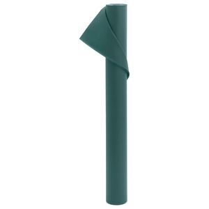 vidaXL Agrowł&oacute;knina okryciowa, 70 g/m&sup2;, 10x1,6 m