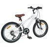 vidaXL Kids Mountain Bike 20 Cali 6-Speed dla dzieci w wieku 5-8 lat