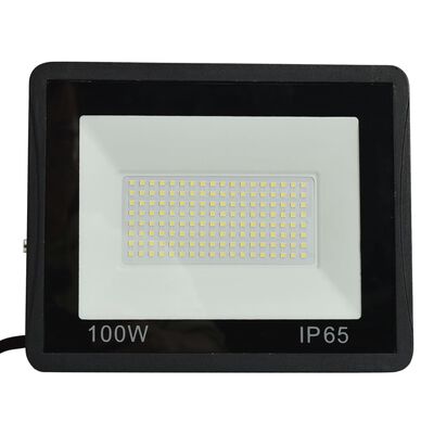 vidaXL Reflektor LED, 100 W, zimne białe światło