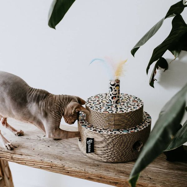 DISTRICT70 Zabawka dla kota FIESTA, karton, kolorowa