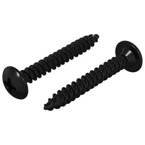 vidaXL Gwoźdź do gwintowania 2 szt. Czarny M4 x 28 mm Stal