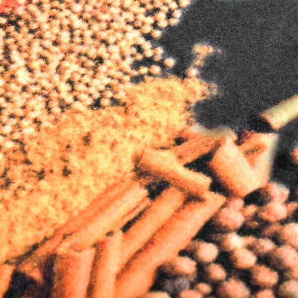 vidaXL Kuchenny dywanik podłogowy Spice, 60x300 cm