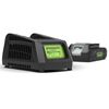 Greenworks Zestaw startowy z akumulatorem 24 V