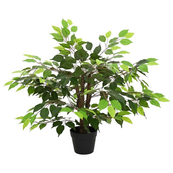 Wyświetlanie zdjęcia produktu 3 z 6