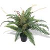 vidaXL Sztuczna paprotka z doniczką, 60 cm, kolor zielony