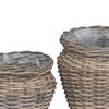 vidaXL Kosz na rośliny z przechowywaniem 2 pcs Szary Rattan Lacak