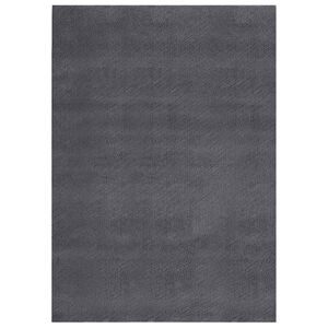 vidaXL Dywan z kr&oacute;tkim włosiem i możliwością prania 160x230cm antracyt
