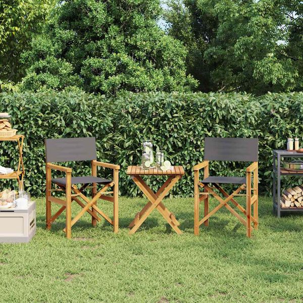 vidaXL Składane krzesła reżyserskie, 2 szt., szare, drewno tekowe
