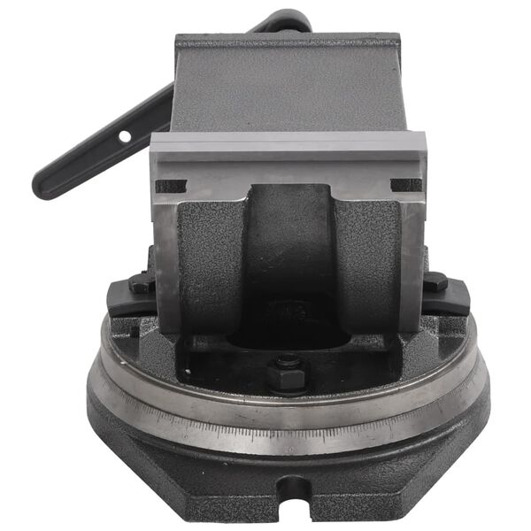 vidaXL Imadło uchylno-obrotowe, 2-osiowe, 160 mm