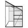 vidaXL Szklarnia, antracytowa, aluminium, 7,77 m&sup3;