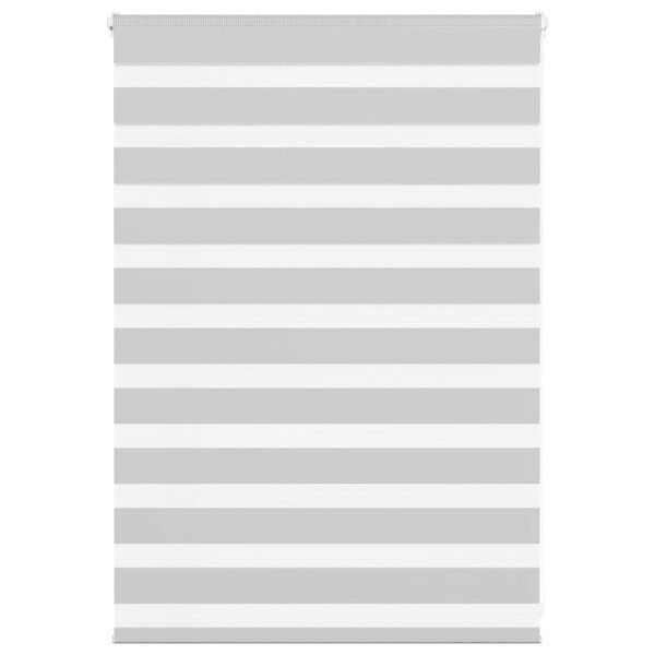 vidaXL Roleta zebra, jasnoszara, szerokość tkaniny 95,9 cm, poliester